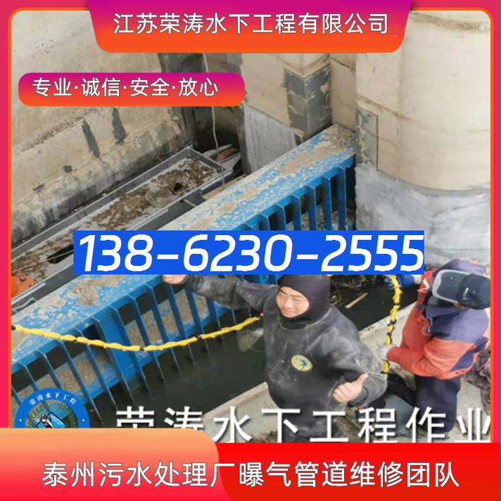 泰州污水处理厂曝气管道维修团队